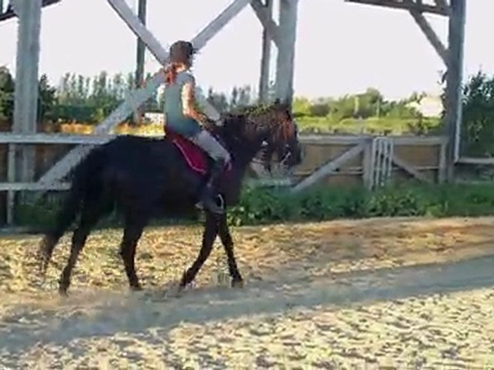 Essai selle dressage Henry de rivel