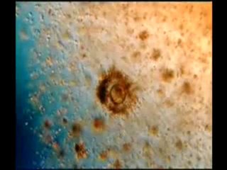 Kuran ayetleri reenkarnasyonu yalanlıyor