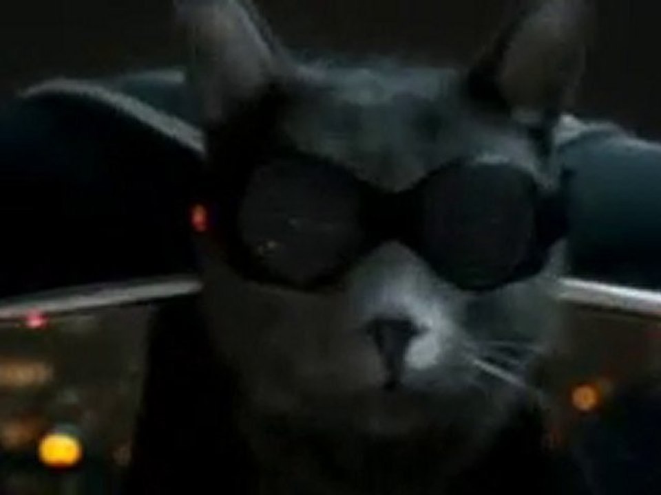 Comme Chiens et Chats 2 TV SPOT 30s VF