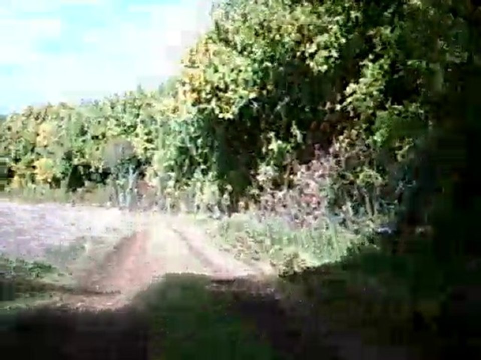 Une descente vers Puiselets le Marais