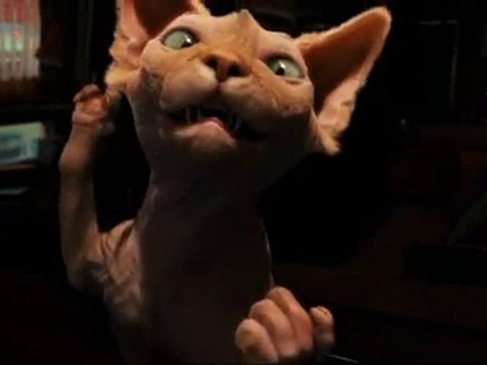 Comme Chiens et Chats 2 Extrait du Film VF