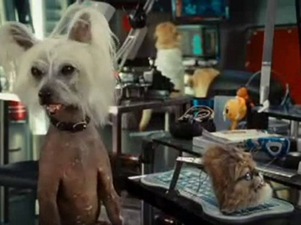 Comme Chiens et Chats 2 3 extraits du Film VF