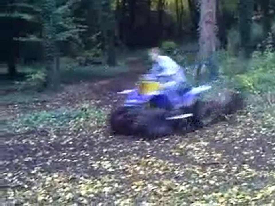 quad 350 banshee
