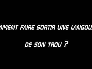 Leçon n°2 :Comment faire sortir une Langouste de son trou ?