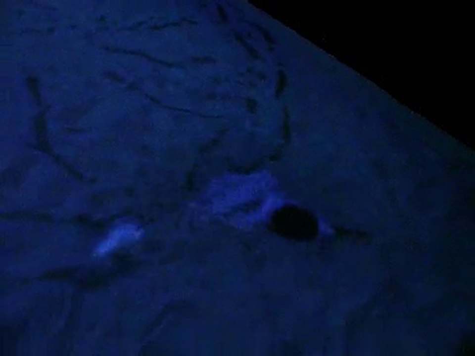 instal vidéo danse Anne Teresa De Keersmaeker