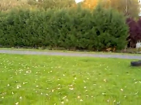 Rasso GOI karting 13