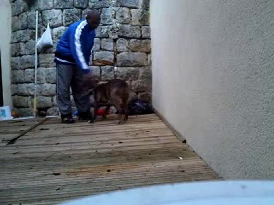 RAISER, en mode éducation!!!