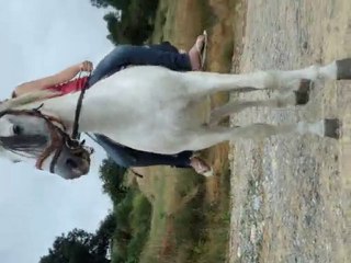 Croisement antérieur de gitana