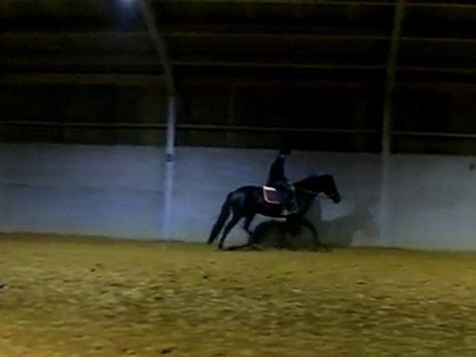 Ulys cours 1nov 5