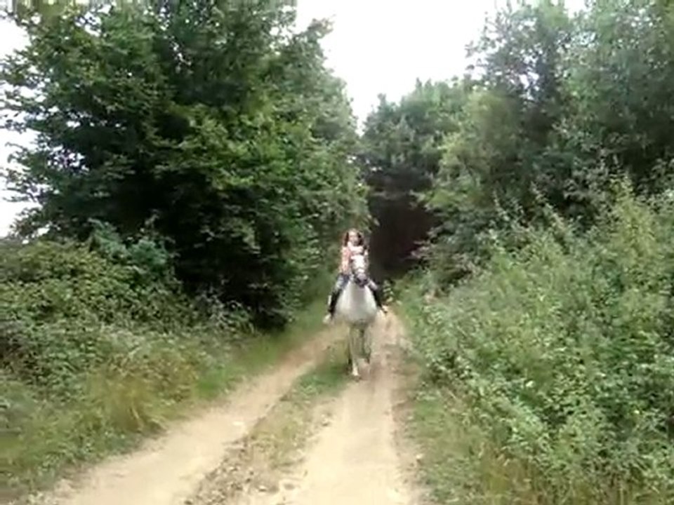 Galop de Gitana