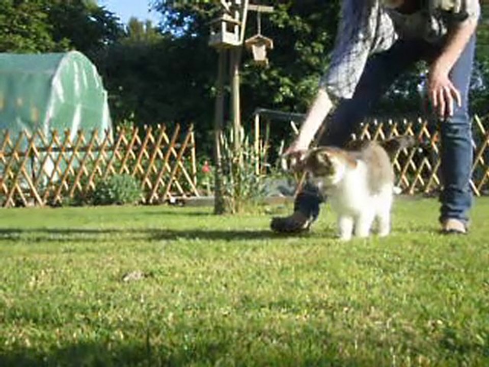Pussy et wilson  (1)
