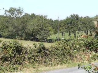 206 cc SICRE-ALAZARD