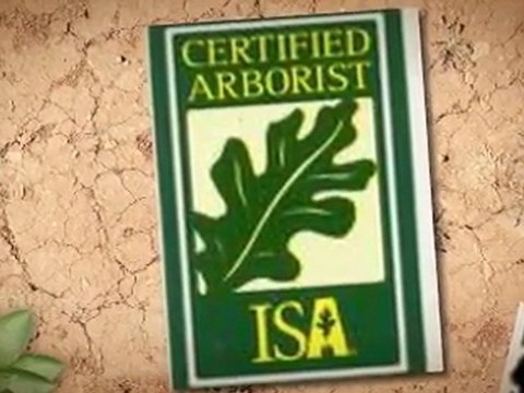 Riverside Ca Tree Svc 951 279-6096 - State License #: 915389