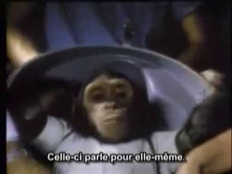 Honte Sur Les Terriens 5sur5 Earthlings ATTENTION VIOLENT