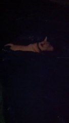 Cassius Had a Rough Night