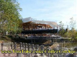 Geese At Riverside [10-29-10]