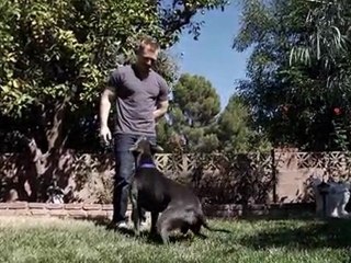 Jeff talks Dog Health and Pet Nutrition