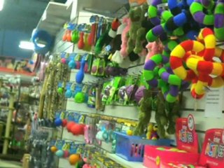 Pet Shops Prahran Pets Wonderland VIC