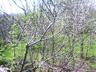 Visite de l'atelier de Patrick Montaigut / Artiste peintre