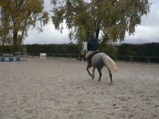 Rapsodie du Milon , Ecurie Faroudja