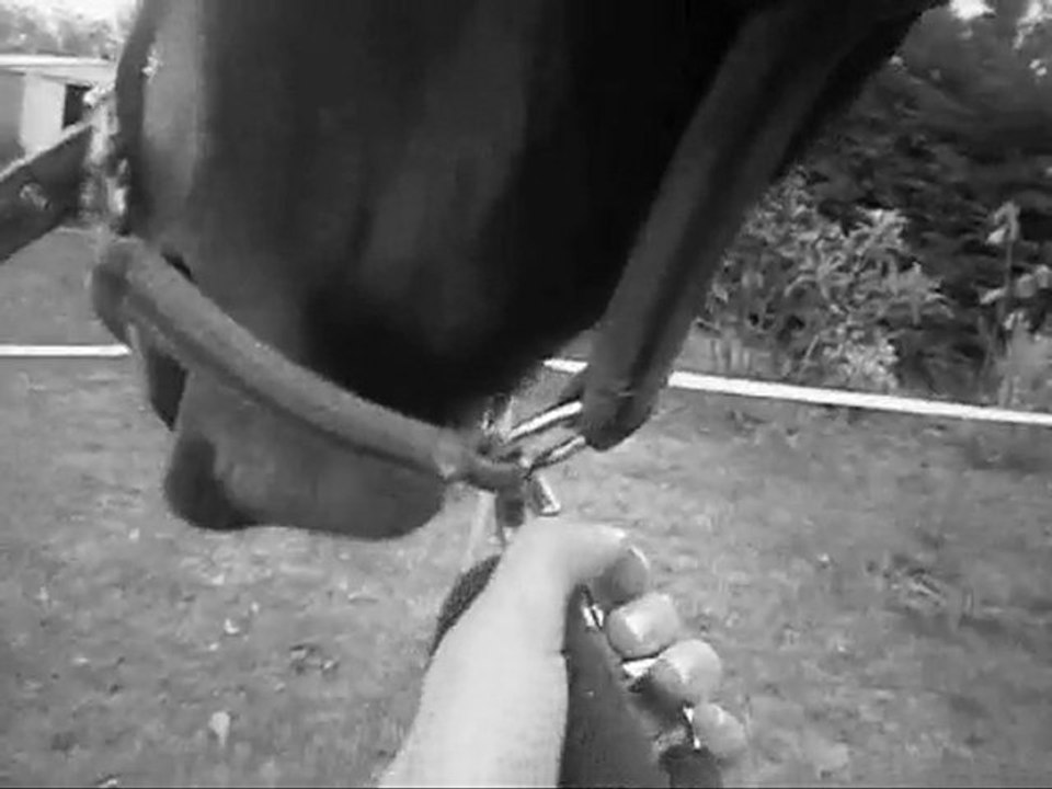 Urka, le meilleure au monde