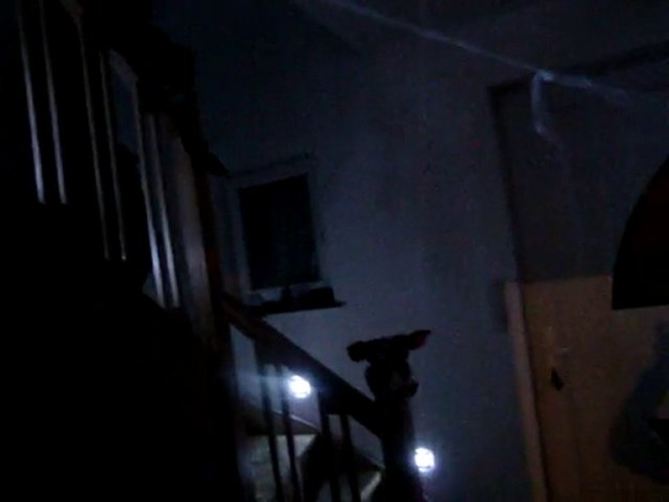 Tiago's Haunted House - Halloween 2010