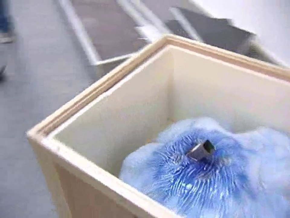 Calaisis TV : L'oeilleton Quand l'art se fait beau.épisode 1