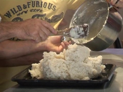 LE SUD, vous en faites tout un plat Les arancini