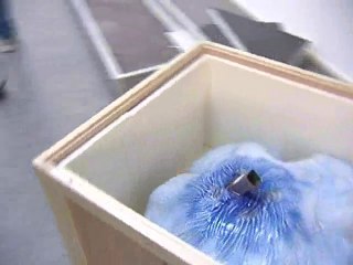 Calaisis TV : l'oeilleton Quand l'art se fait beau épisode 1