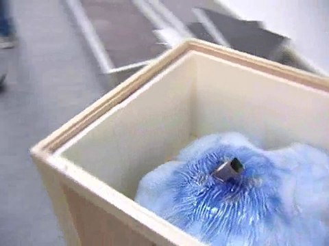 Calaisis TV : l'oeilleton Quand l'art se fait beau épisode 1