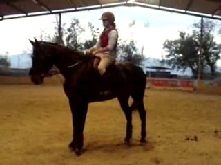 Océane du Bosc 1ère semaine travail au pas