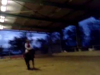 Océane du Bosc 1ère semaine travail au trot