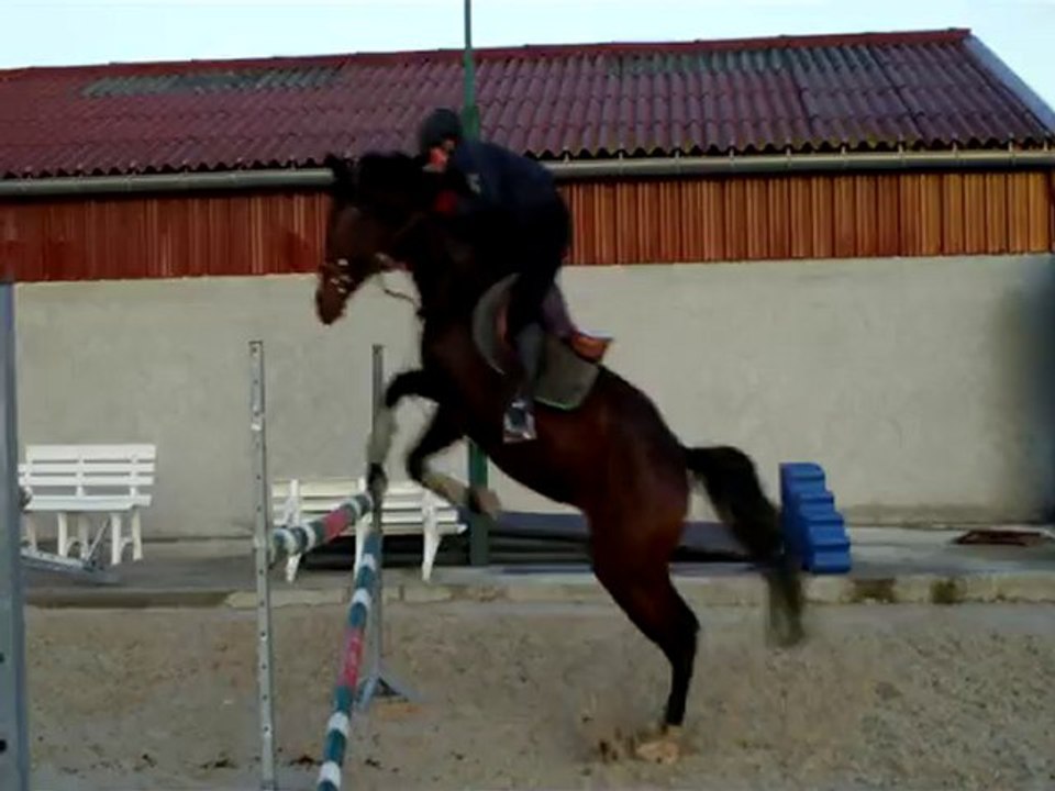 simbad des torfeux vertical