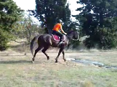Océane du Bosc parcours de cross
