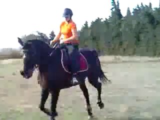 Océane du Bosc parcours de cross suite