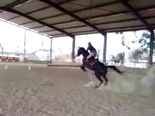 Océane du Bosc quadruple 1