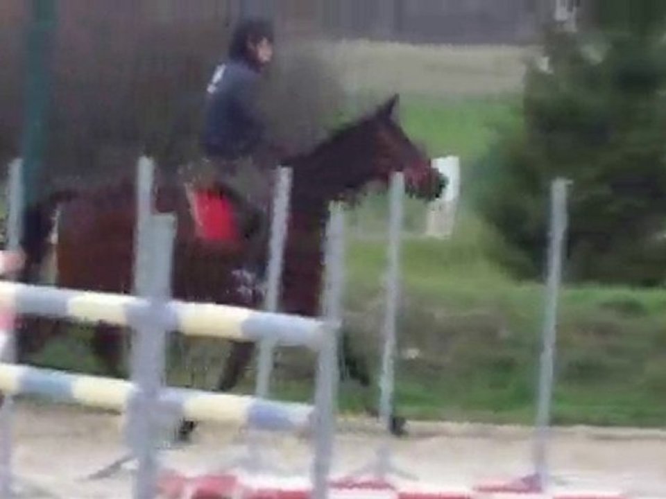 simbad trot 1ere fois monté