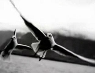 Göksel - Kurşuni Renkler