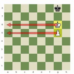 King and Pawn Endings: The Basics!
