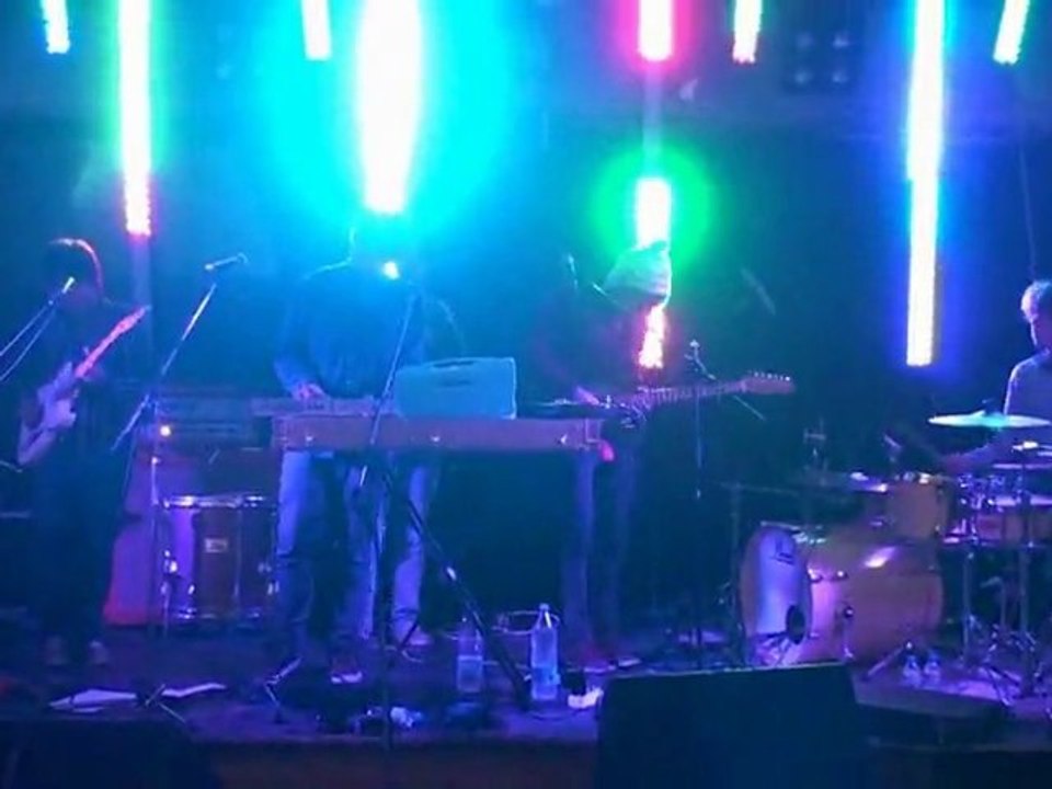 NICE WEATHER FOR DUCKS