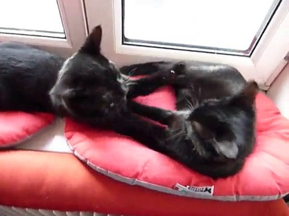 Câââââlin