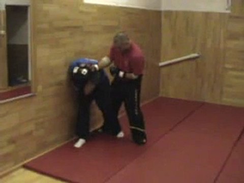 Sifu Yannis - Wing Tzun kick defense 1