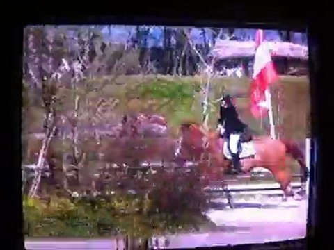 cheval 9 ans le tot de semilly