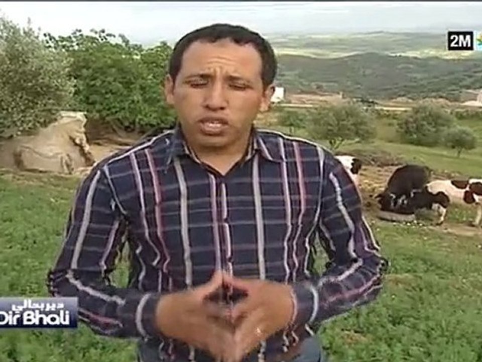 دير بحالي : الثلاثاء 2 نونبر
