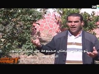 استوديو نتودارت : الثلاثاء 2 نونبر