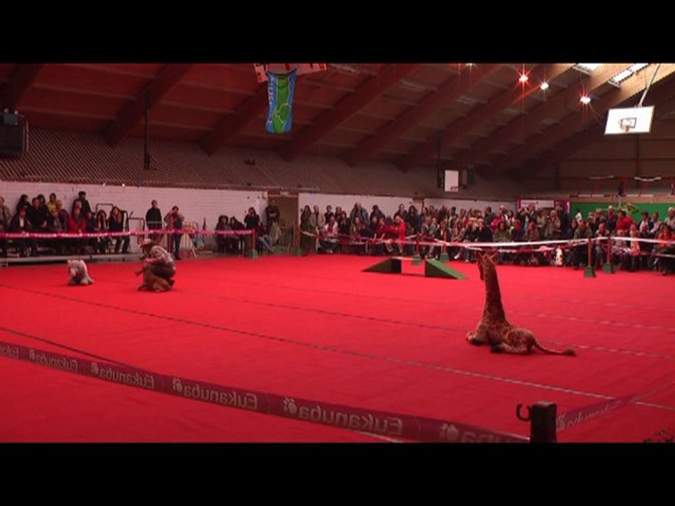 GPF obr2010 2e passage Toupy