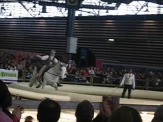 Equita ....Sacré acrobate!.!.!.!.