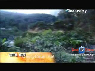 I Was Bitten - 2nd Novmber 2010 - pt1