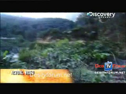 I Was Bitten - 2nd Novmber 2010 - pt1