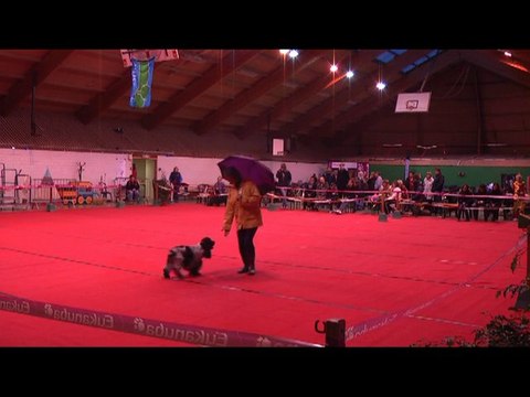 GPF obr2010 2e passage C'ven